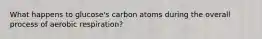 What happens to glucose's carbon atoms during the overall process of aerobic respiration?