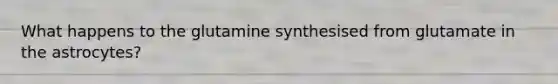 What happens to the glutamine synthesised from glutamate in the astrocytes?