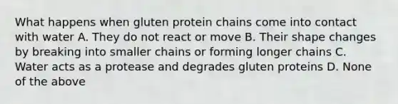 What happens when gluten protein chains come into contact with water A. They do not react or move B. Their shape changes by breaking into smaller chains or forming longer chains C. Water acts as a protease and degrades gluten proteins D. None of the above