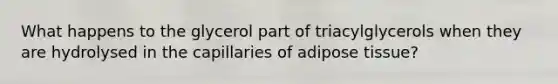 What happens to the glycerol part of triacylglycerols when they are hydrolysed in the capillaries of adipose tissue?