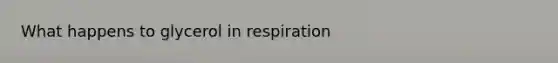 What happens to glycerol in respiration