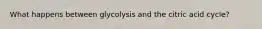 What happens between glycolysis and the citric acid cycle?