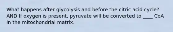 What happens after glycolysis and before the citric acid cycle?AND If oxygen is present, pyruvate will be converted to ____ CoA in the mitochondrial matrix.