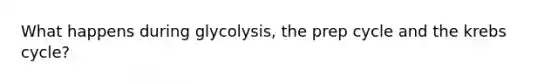 What happens during glycolysis, the prep cycle and the krebs cycle?