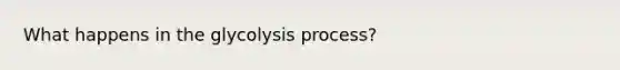 What happens in the glycolysis process?