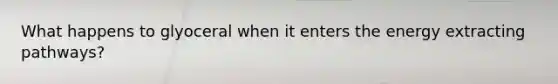 What happens to glyoceral when it enters the energy extracting pathways?