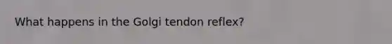 What happens in the Golgi tendon reflex?