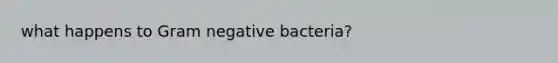 what happens to Gram negative bacteria?