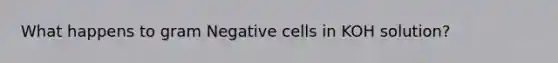 What happens to gram Negative cells in KOH solution?