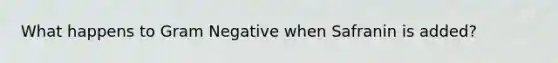 What happens to Gram Negative when Safranin is added?