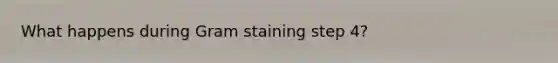 What happens during Gram staining step 4?