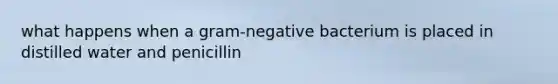 what happens when a gram-negative bacterium is placed in distilled water and penicillin