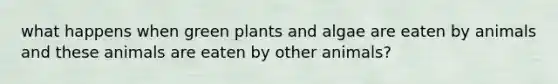 what happens when green plants and algae are eaten by animals and these animals are eaten by other animals?