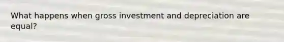 What happens when gross investment and depreciation are equal?