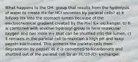 What happens to the OH- group that results from the hydrolysis of water to create H+ for HCl secretion by parietal cells? a) It follows H+ into the stomach lumen because of the electrochemical gradient created by the H+/ K+ exchanger. b) It is combined with another hydroxyl group to form molecular oxygen and two more H+ that can be shuttled into the lumen. c) It remains in the parietal cell to maintain a high pH and keep pepsin inactivated. This protects the parietal cells from degradation by pepsin. d) It is converted to bicarbonate and shuttled out of the parietal cell by an HCO3-/Cl- exchanger.