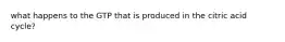 what happens to the GTP that is produced in the citric acid cycle?