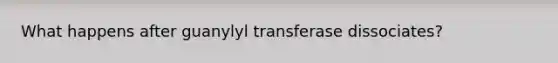 What happens after guanylyl transferase dissociates?