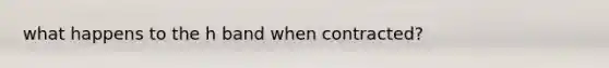 what happens to the h band when contracted?