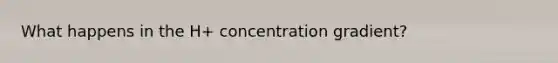 What happens in the H+ concentration gradient?