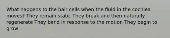 What happens to the hair cells when the fluid in the cochlea moves? They remain static They break and then naturally regenerate They bend in response to the motion They begin to grow