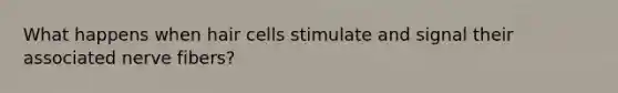 What happens when hair cells stimulate and signal their associated nerve fibers?