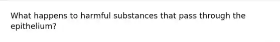 What happens to harmful substances that pass through the epithelium?