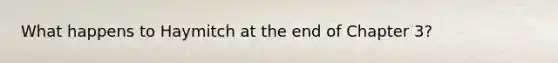 What happens to Haymitch at the end of Chapter 3?