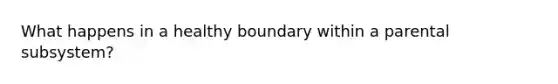 What happens in a healthy boundary within a parental subsystem?