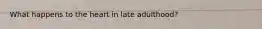 What happens to the heart in late adulthood?