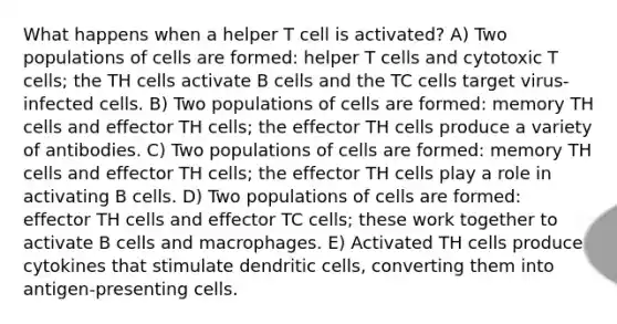 What happens when a helper T cell is activated? A) Two populations of cells are formed: helper T cells and cytotoxic T cells; the TH cells activate B cells and the TC cells target virus-infected cells. B) Two populations of cells are formed: memory TH cells and effector TH cells; the effector TH cells produce a variety of antibodies. C) Two populations of cells are formed: memory TH cells and effector TH cells; the effector TH cells play a role in activating B cells. D) Two populations of cells are formed: effector TH cells and effector TC cells; these work together to activate B cells and macrophages. E) Activated TH cells produce cytokines that stimulate dendritic cells, converting them into antigen-presenting cells.