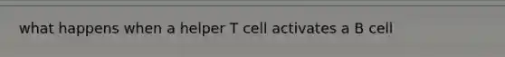 what happens when a helper T cell activates a B cell