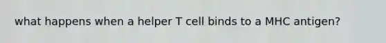 what happens when a helper T cell binds to a MHC antigen?