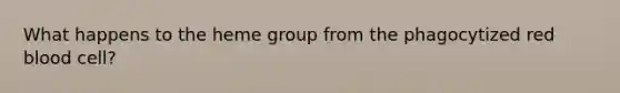What happens to the heme group from the phagocytized red blood cell?