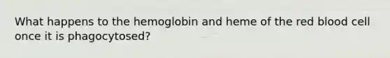 What happens to the hemoglobin and heme of the red blood cell once it is phagocytosed?