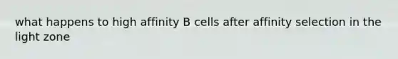 what happens to high affinity B cells after affinity selection in the light zone