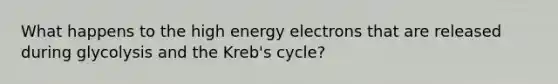 What happens to the high energy electrons that are released during glycolysis and the Kreb's cycle?