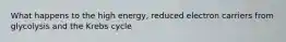 What happens to the high energy, reduced electron carriers from glycolysis and the Krebs cycle