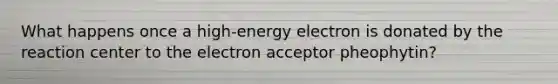 What happens once a high-energy electron is donated by the reaction center to the electron acceptor pheophytin?