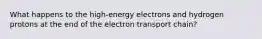 What happens to the high-energy electrons and hydrogen protons at the end of the electron transport chain?