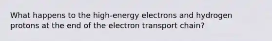 What happens to the high-energy electrons and hydrogen protons at the end of the electron transport chain?