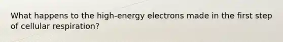 What happens to the high-energy electrons made in the first step of cellular respiration?