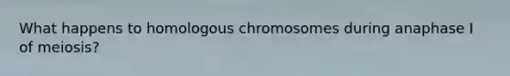 What happens to homologous chromosomes during anaphase I of meiosis?