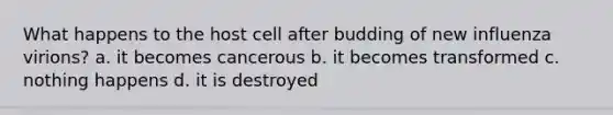 What happens to the host cell after budding of new influenza virions? a. it becomes cancerous b. it becomes transformed c. nothing happens d. it is destroyed