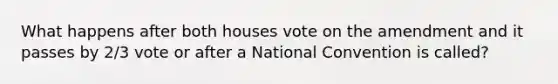 What happens after both houses vote on the amendment and it passes by 2/3 vote or after a National Convention is called?