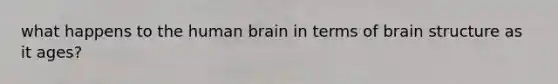 what happens to the human brain in terms of brain structure as it ages?