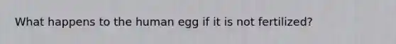 What happens to the human egg if it is not fertilized?