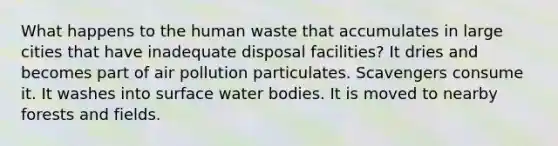 What happens to the human waste that accumulates in large cities that have inadequate disposal facilities? It dries and becomes part of air pollution particulates. Scavengers consume it. It washes into surface water bodies. It is moved to nearby forests and fields.