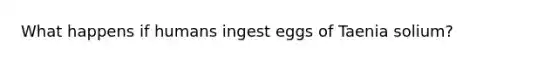 What happens if humans ingest eggs of Taenia solium?