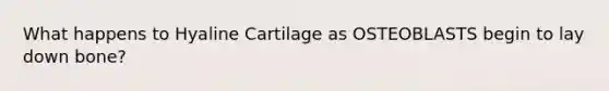 What happens to Hyaline Cartilage as OSTEOBLASTS begin to lay down bone?