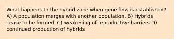 What happens to the hybrid zone when gene flow is established? A) A population merges with another population. B) Hybrids cease to be formed. C) weakening of reproductive barriers D) continued production of hybrids